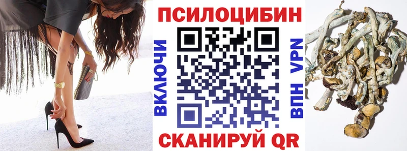 Галлюциногенные грибы мицелий  кракен зеркало  Ильский 